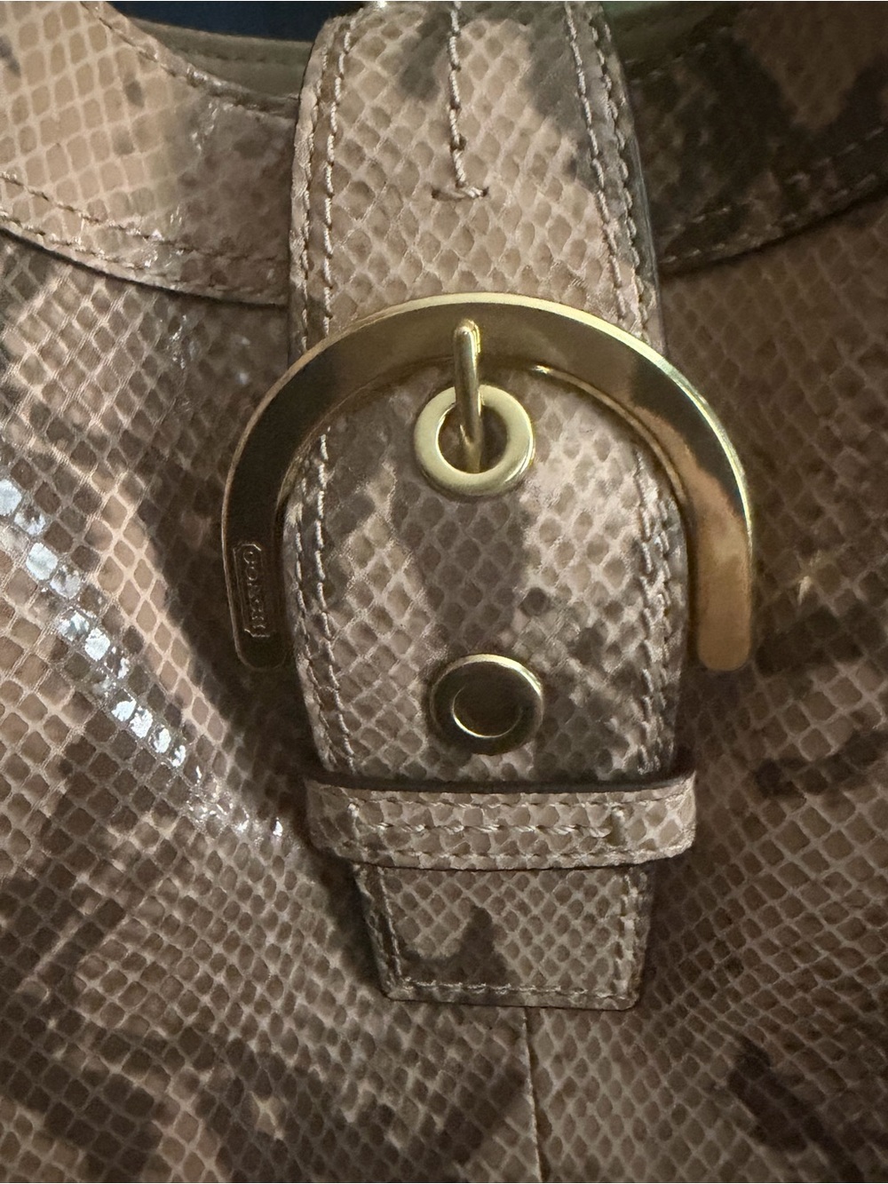 Coach Python Embossed Hobo Bag - Picture 3 of 11
